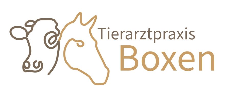 Tierarztpraxis-Boxen